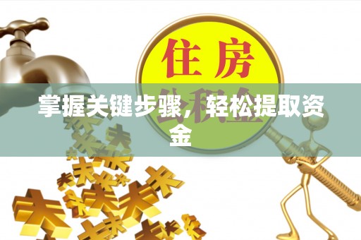 宁洱掌握关键步骤，轻松提取资金