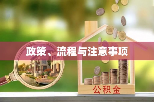 宁洱政策、流程与注意事项