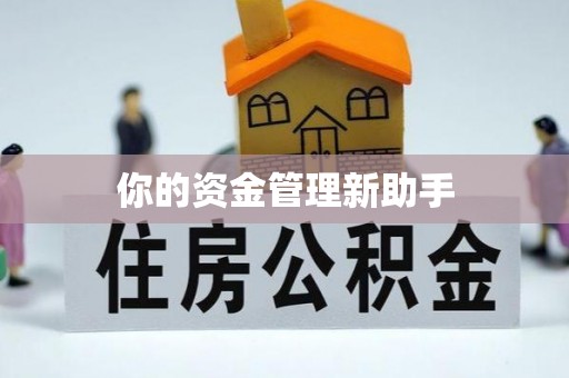 宁洱你的资金管理新助手
